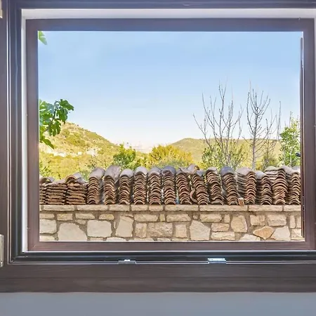 Color - South Paradise 2 هيماري