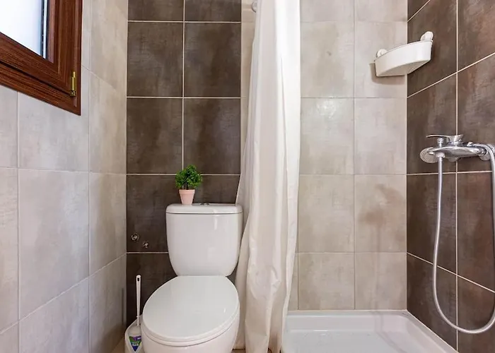 Color - South Paradise 2 *