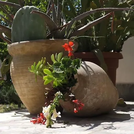 Daire Color - South Paradise 2 Himarë