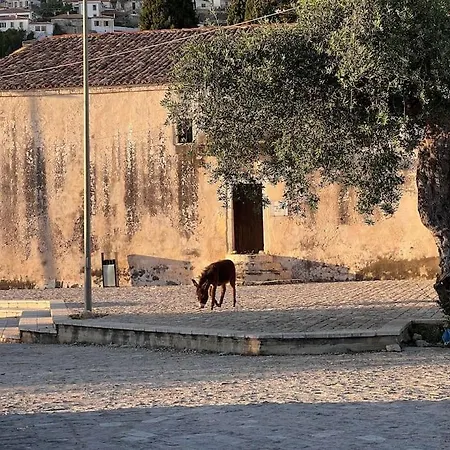 Color - South Paradise 2 Daire