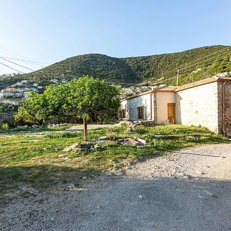 Daire Color - South Paradise 2 *