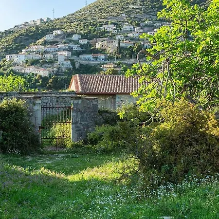 Daire Color - South Paradise 2