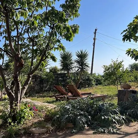 Color - South Paradise 2 Daire *