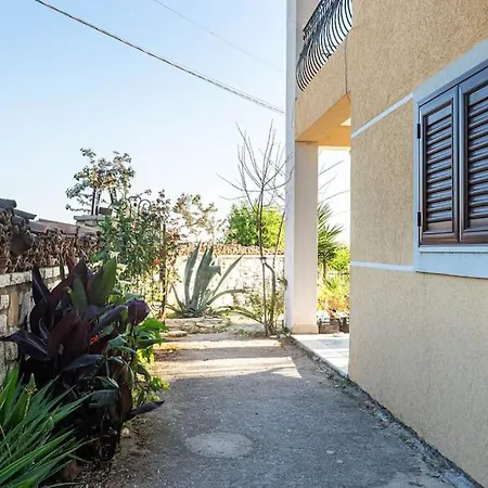 Color - South Paradise 2