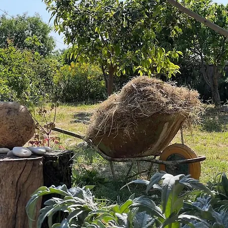 דירה Color - South Paradise 2 *