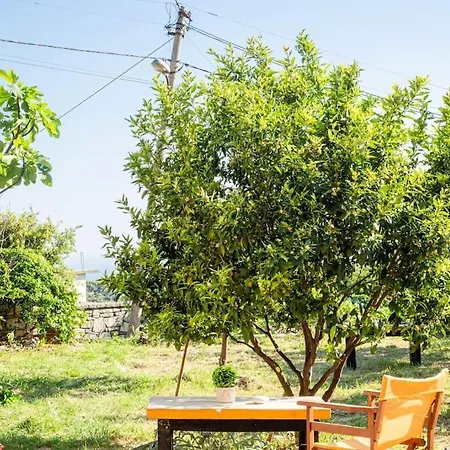 Color - South Paradise 2 Daire *