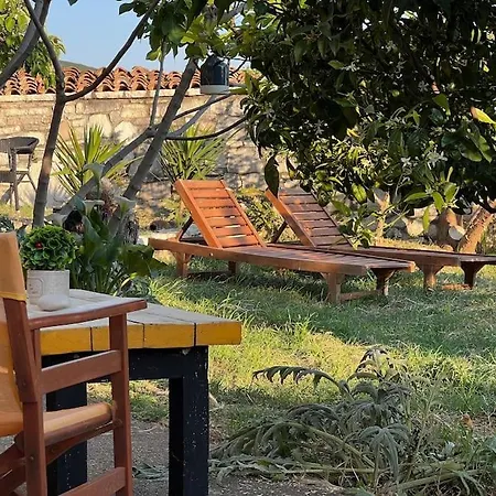 Daire Color - South Paradise 2