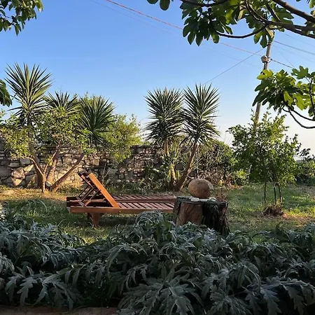 Color - South Paradise 2 * הימארה